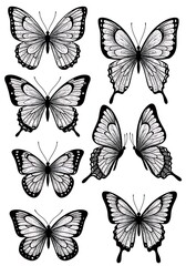 Elegant Monochrome Butterfly Illustration: A Delicate Collection