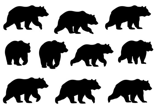 Black Bear Silhouettes: Walking Animation Sequence