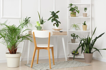Interior of workshop with gardener's workplace, shelf unit and plants