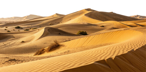Stunning Golden Sand Dunes Under Soft Sunlight in a Barren Desert Landscape