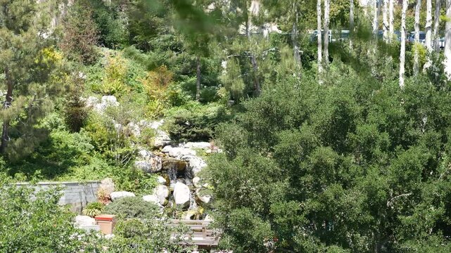 Japanese Garden in Balboa Park, San Diego CA