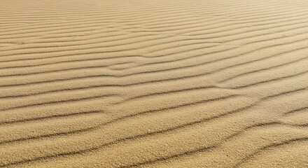Obraz premium Desert's Whisper: Rippled Sands
