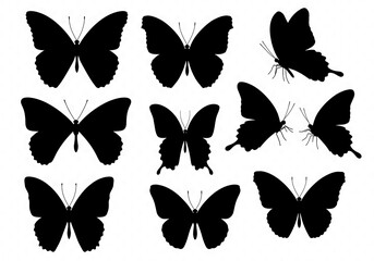 Fototapeta premium Elegant Black Butterfly Silhouettes: A Graphic Collection