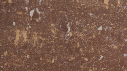 Close-up of soil with mulch and twigs, suitable for ecological visuals, compost content, or nature textures.