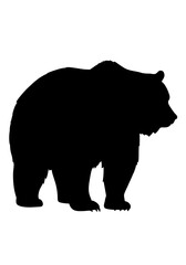 Fototapeta premium Powerful Bear Silhouette: Majestic Wildlife Art