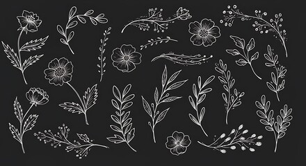 Chalkboard Floral Sketches: Delicate White Line Art