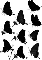 Silhouette Butterflies: Floral Flight, Elegant Ink Art