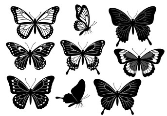 Elegant Black & White Butterfly Silhouettes