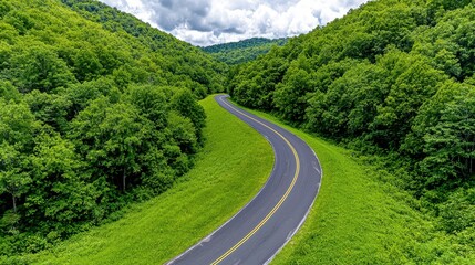 Fototapeta premium Winding Asphalt Road Curves Through Lush Green Forest in Scenic