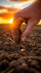 A hand plants a seed in dark soil at sunset