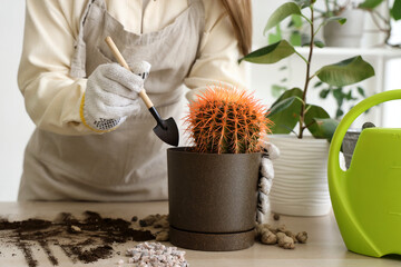 Young woman with gardening supplies taking care of cactus at home, closeup