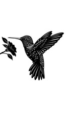 Naklejka premium Hummingbird Elegance: Black Ink Bird Illustration