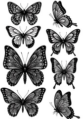 Obraz premium Elegant Black & White Butterfly Ink Drawings