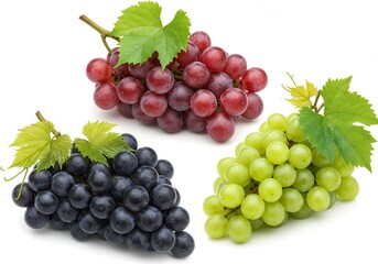 Fototapeta premium Three bunches of grapes in red, green and black with leaves on white background