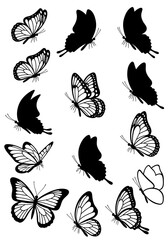 Elegant Black & White Butterfly Silhouettes