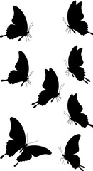 Fototapeta premium Silhouette Butterflies: Elegant Black Flight