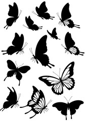 Fototapeta premium Silhouette Butterfly Dance: Elegant Black & White Art