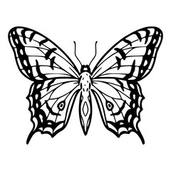 detailed butterfly outline design