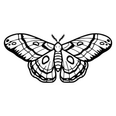 detailed butterfly outline design