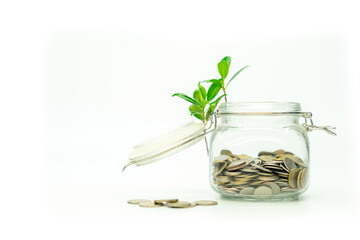 Plant growing and money coin are representing wealth growth and financial planning concept