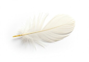 Obraz premium Single white feather isolated on a clean white surface, showing delicate texture