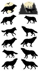 Wolf Silhouettes: Moonlit Night, Forest Majesty