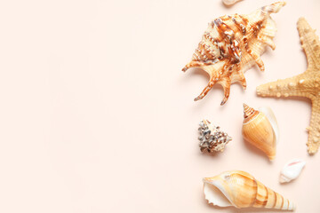 Obraz premium Different seashells and starfish on white background