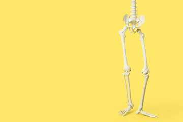Legs of scary human skeleton on yellow background