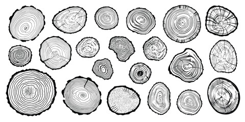 Log cut set, tree rings pattern, isolated on white background, vector design