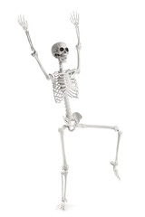Scary human skeleton with raised hands isolated on white background