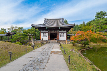 日本、京都、高台寺、紅葉、黄葉、秋、寺院、佛寺、佛教、木造建築、古代建築、庭園、文化財、日本文化、歷史名勝、綠色、風景、青空、写真素材