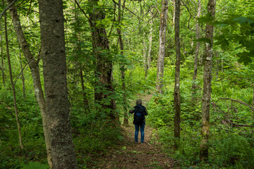 Fototapeta premium A woman stands on a narrow path in the forest. Ecological trail among the trees. A tourist with a backpack while hiking in a forest area. Travel, ecotourism and outdoor activities. Summer landscape.