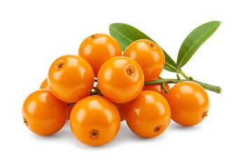 A cluster of sea buckthorn berries with green leaves