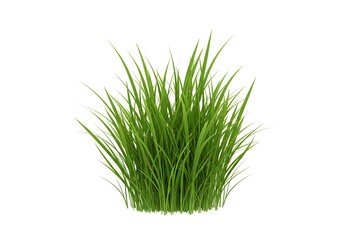 Obraz premium Isolated clump of bright green grass on white surface
