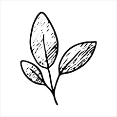 A black-and-white sketch of a leaf branch with multiple leaves, symbolizing nature and growth, ideal for wellness, rustic, and botanical design projects
