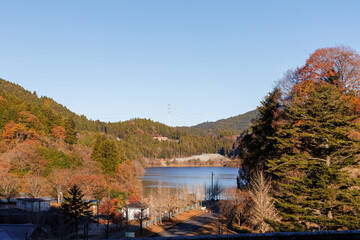 紅葉に彩られた美しい宮ヶ瀬湖。
紅葉が美しい。
神奈川県清川村、早戸川林道-2024年