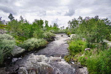 A tranquil river stream flows through lush greenery in Fulufjället National Park, showcasing the natural beauty of Dalarna, Sweden on a cloudy day