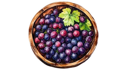 Watercolor Barrel of Grapes Clipart Illustration — Vineyard Harvest Art on Transparent Background

