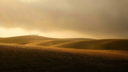 Obraz premium Golden Sunset Over A Grassy Field Featuring Silhouetted People And Cloudy Sky
