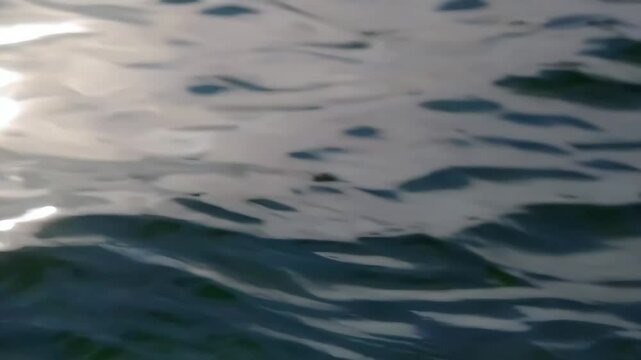 Gentle ocean surface moving with light ripples. Perfect for calm, nature, or relaxing water scenes.