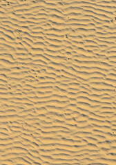 Obraz premium Fine Beach Sand Texture from Top View