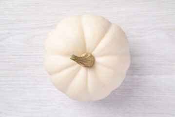 White Jack be little pumpkin on white background, Top view