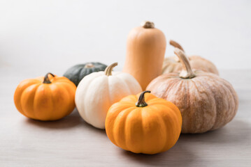 Various pumpkins on white background, Agriculture and harvesting