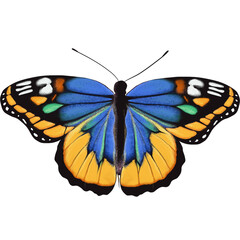Colorful butterfly drawing on white background