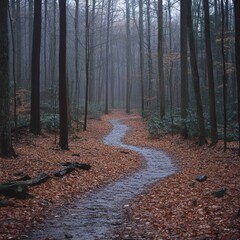 Winding Path Through a Misty Autumn Forest