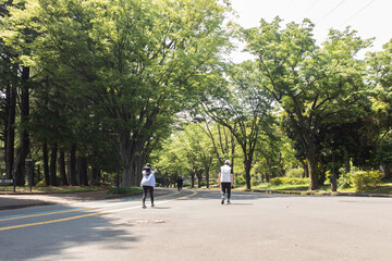 新緑の公園