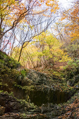 苔むした岩と崖から落ちる美しい小さな滝
紅葉が美しい。
神奈川県清川村、早戸川林道-2024年
