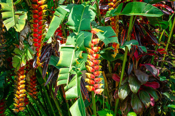 Blessings on the tree