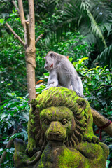 macaque on the statue