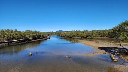 Urunga Wetlands Boardwalk in New South Wales, Australia